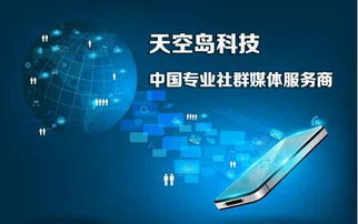 天空島科技 中國專業(yè)社群媒體服務(wù)商