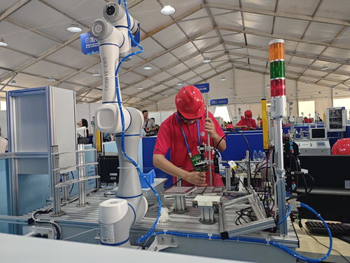 河南省第三屆職業(yè)技能大賽在開封開幕，技術(shù)服務(wù)引領(lǐng)未來